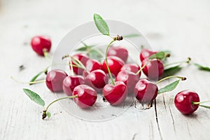 Sour Cherry