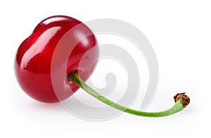 Sour cherry isolated on white