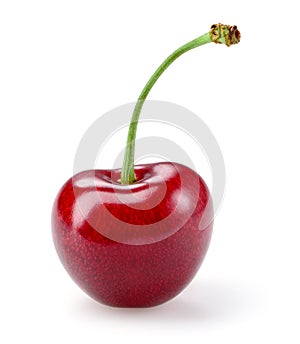 Sour cherry isolated on white background