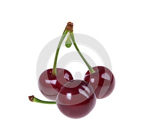 Sour cherry isolated on white