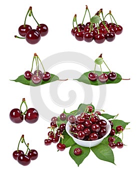 Sour cherry isolated on white