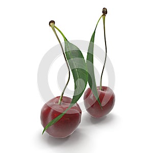 Sour Cherry With Leaf Isolated on White Background 3D Illustration