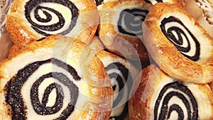 Sour cream buns with poppy seeds. Sweet pastry. Apetite buns. Smetannik cookies. photo