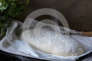 Sour dough bread proving on dark background
