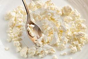 Sour milk curd in a white bowl and spoon on a white background close-up