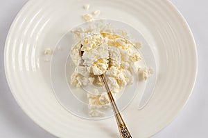 Sour milk curd in a white bowl and spoon on a white background close-up