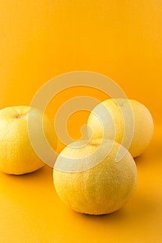 sour orange or bitter orange on a vibrant yellow background