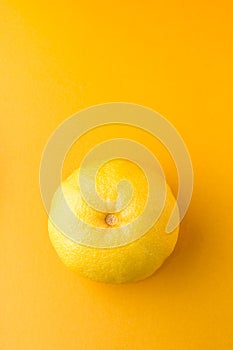 sour orange or bitter orange on a vibrant yellow background