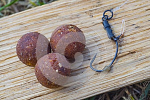The Source Boilies with fishing hook. Fishing rig for carps, boilie rig, near the lake on a piece of wood