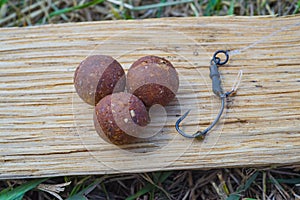 The Source Boilies with fishing hook. Fishing rig for carps, boilie rig, near the lake on a piece of wood photo