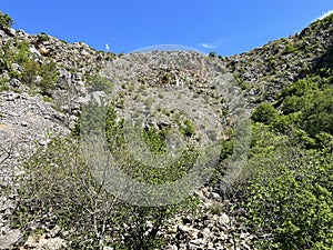 The source of the Dabarnica stream, the right tributary of the Zrmanja river (Velebit Nature Park, Croatia) photo