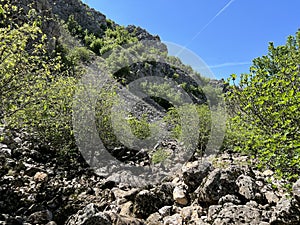 The source of the Dabarnica stream, the right tributary of the Zrmanja river (Velebit Nature Park, Croatia) photo