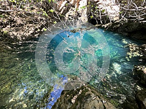 The source of the Dabarnica stream, the right tributary of the Zrmanja river (Velebit Nature Park, Croatia) photo