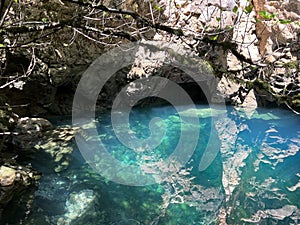 The source of the Dabarnica stream, the right tributary of the Zrmanja river (Velebit Nature Park, Croatia) photo