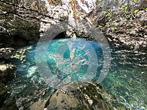 The source of the Dabarnica stream, the right tributary of the Zrmanja river (Velebit Nature Park, Croatia) photo