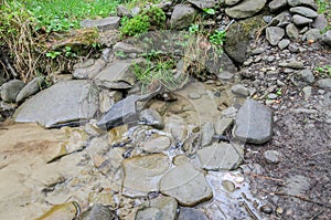The source of drinking clean water in the mountains