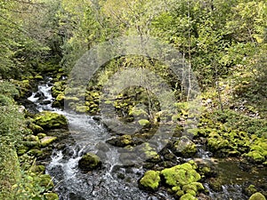 Source Glijun or the source of the stream Gljun (Bovec, Slovenia) - Die Quelle des Baches Glijun oder die Quelle Gljun photo