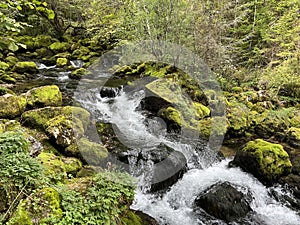 Source Glijun or the source of the stream Gljun (Bovec, Slovenia) - Die Quelle des Baches Glijun oder die Quelle Gljun photo