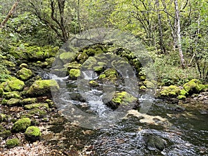 Source Glijun or the source of the stream Gljun (Bovec, Slovenia) - Die Quelle des Baches Glijun oder die Quelle Gljun photo
