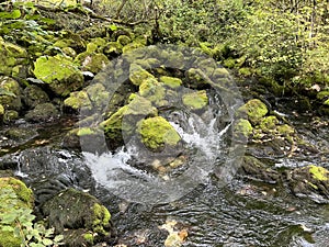 Source Glijun or the source of the stream Gljun (Bovec, Slovenia) - Die Quelle des Baches Glijun oder die Quelle Gljun photo