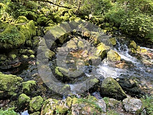 Source Glijun or the source of the stream Gljun (Bovec, Slovenia) - Die Quelle des Baches Glijun photo