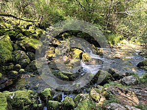 Source Glijun or the source of the stream Gljun (Bovec, Slovenia) - Die Quelle des Baches Glijun photo