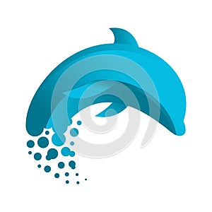 Source of inspiration for vector design drawings for dolphins