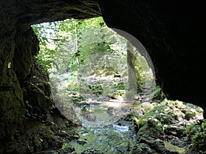 The source of the Jankovacki creek in a Park forest Jankovac or Izvor Jankovackog potoka u Park sumi Jankovac photo