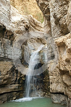 Source of mineral water spring in national park Ein Gedi