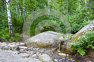 The source of natural water, wellspring, flowing through rocks in forest