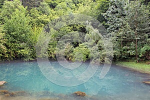 The source of the river Mlava