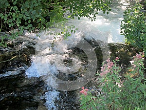 Source of the river Resava in Lisine, Serbia photo