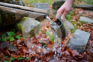 Source of spring water flowing