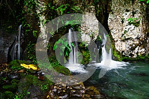 Source of spring water