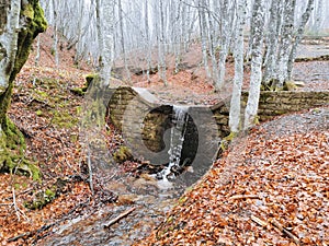 The source of the Tiber River in autumn