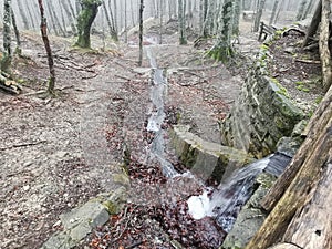 The source of the Tiber River in autumn