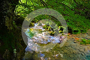 The source of Urederra or the route of the waterfalls of Baquedano, in Navarre, Spain.