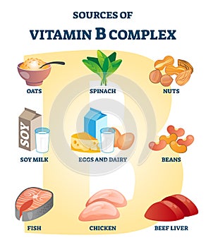 Source of vitamin B complex with labeled healthy food nutrient example list