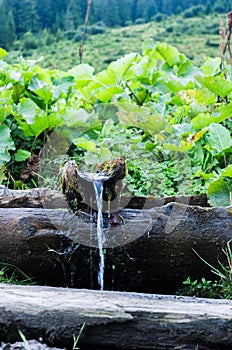Source of water in the mountains. Drinking stream in the mountains.