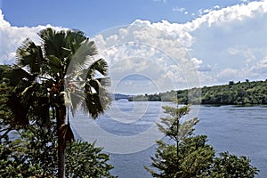 The source of the White Nile River in Uganda