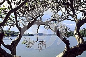 The source of the White Nile River in Uganda