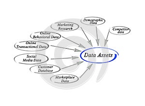 Data Assets