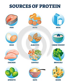 Sources of protein as healthy and high nutrient diet products collection