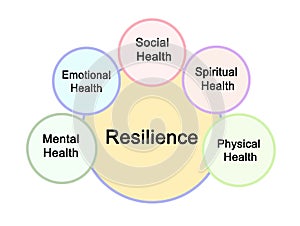 Sources of Resilience