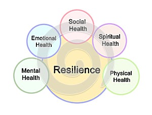 Sources of Resilience photo