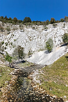 The sources of the Saine from Jura, France