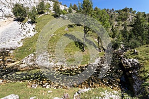 The sources of the Saine from Jura, France