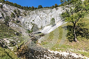 The sources of the Saine from Jura, France