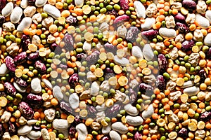Sources of vegetable protein. Texture of various types of legumes.