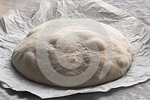 Sourdough bread dough